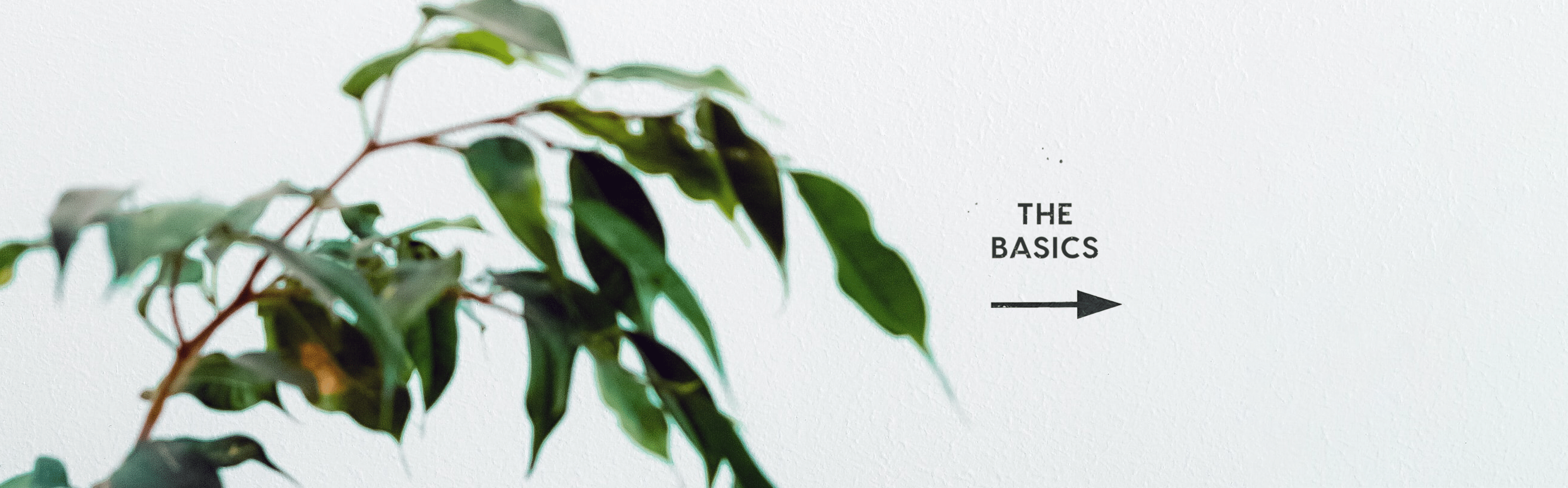 Advertising On Amazon