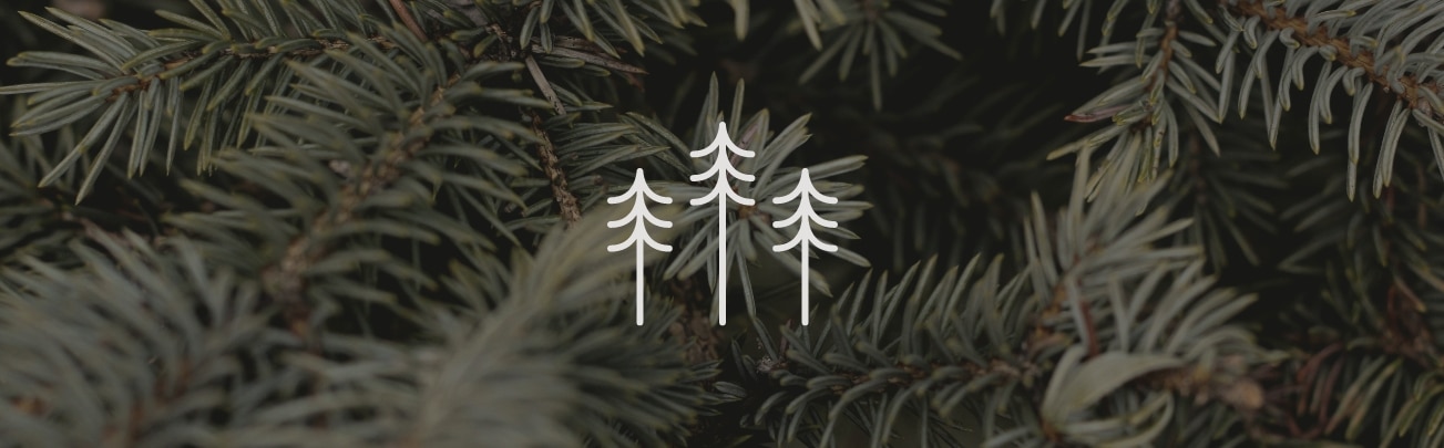 Evergreen Content: Make a Lasting Impact - Astute Communications